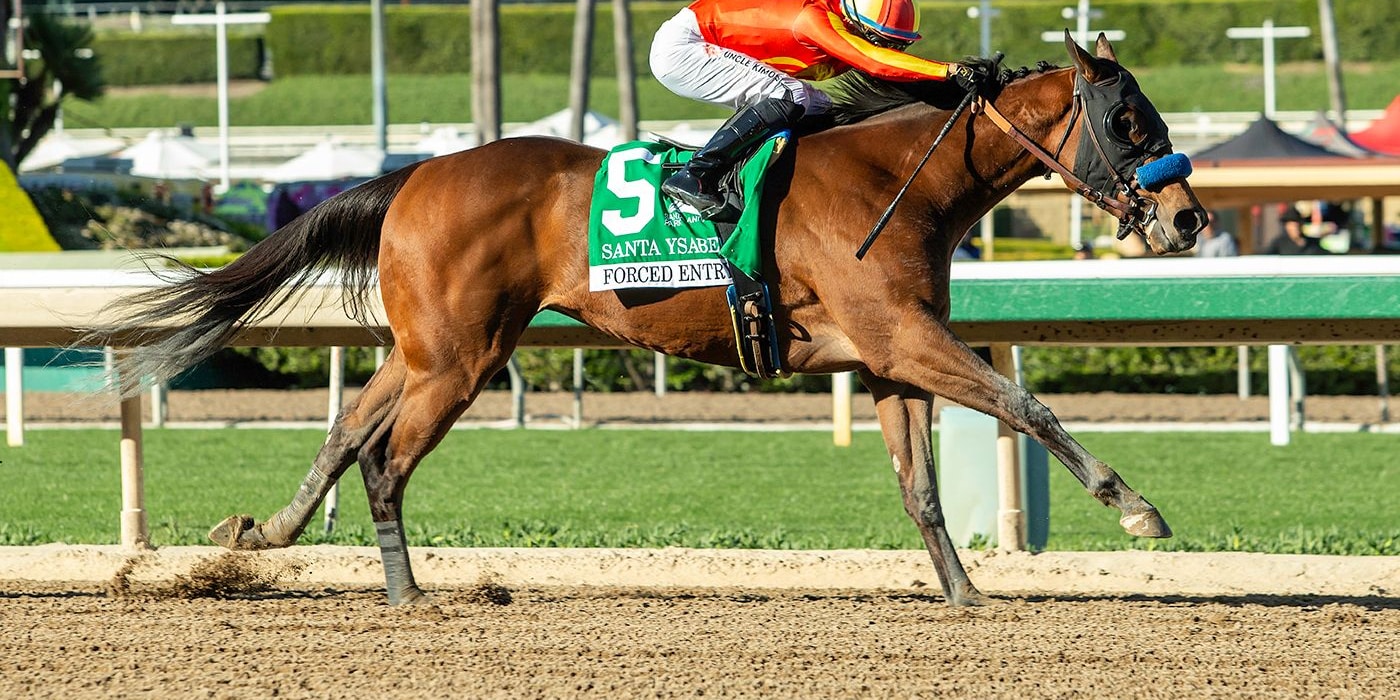 Forced Entry winning the Santa Ysabel (G3) at Santa Anita
