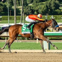 Forced Entry winning the Santa Ysabel (G3) at Santa Anita
