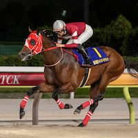 Forever Young wins the Japan Dirt Classic