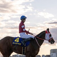 Forever Young cuts a dashing figure with the bright sky behind him at Oi