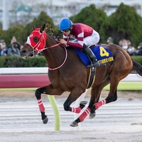 Forever Young wins the Tokyo Daishoten