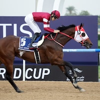 Forever Young wins UAE Derby