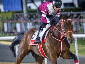 Forever Young works for the Dubai World Cup