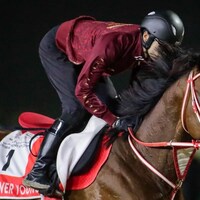 Forever Young training for the 2026 Dubai World Cup (G1)