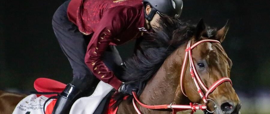Forever Young training for the 2026 Dubai World Cup (G1)