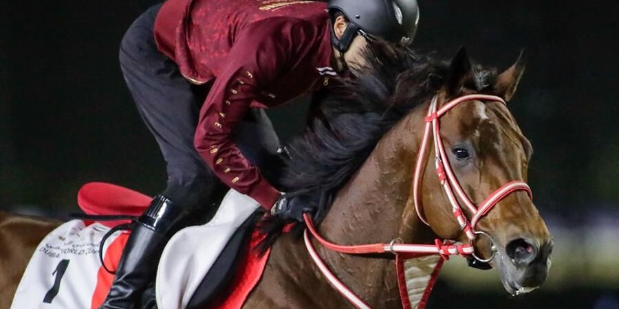 Forever Young training for the 2026 Dubai World Cup (G1)