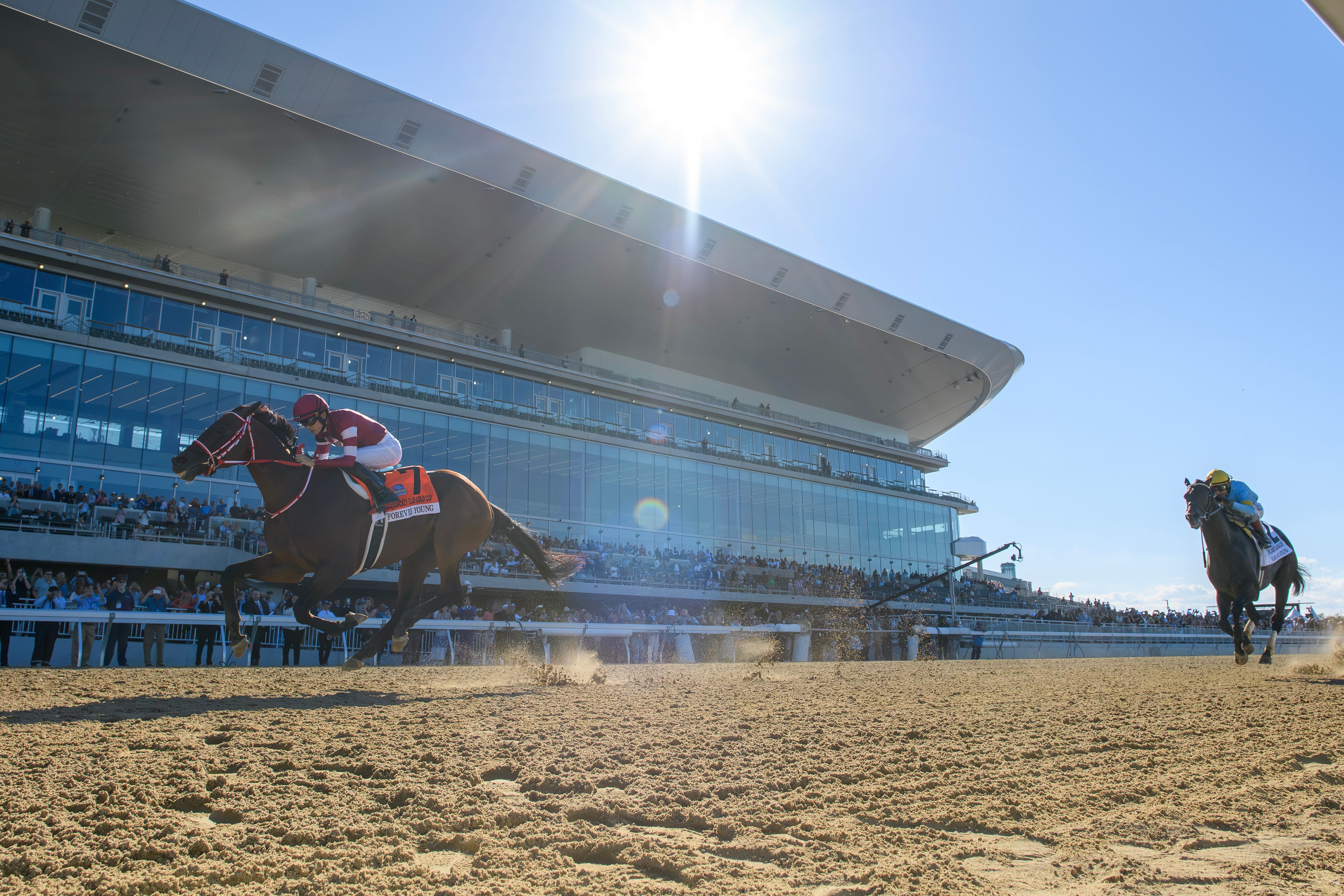 Forever Young wins the Jockey Club Gold Cup (G1) on Belmont Park's grand reopening 