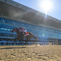Forever Young wins the Jockey Club Gold Cup (G1) on Belmont Park's grand reopening 