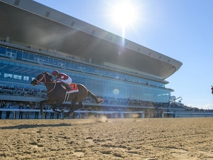 Forever Young wins the Jockey Club Gold Cup (G1) on Belmont Park's grand reopening 