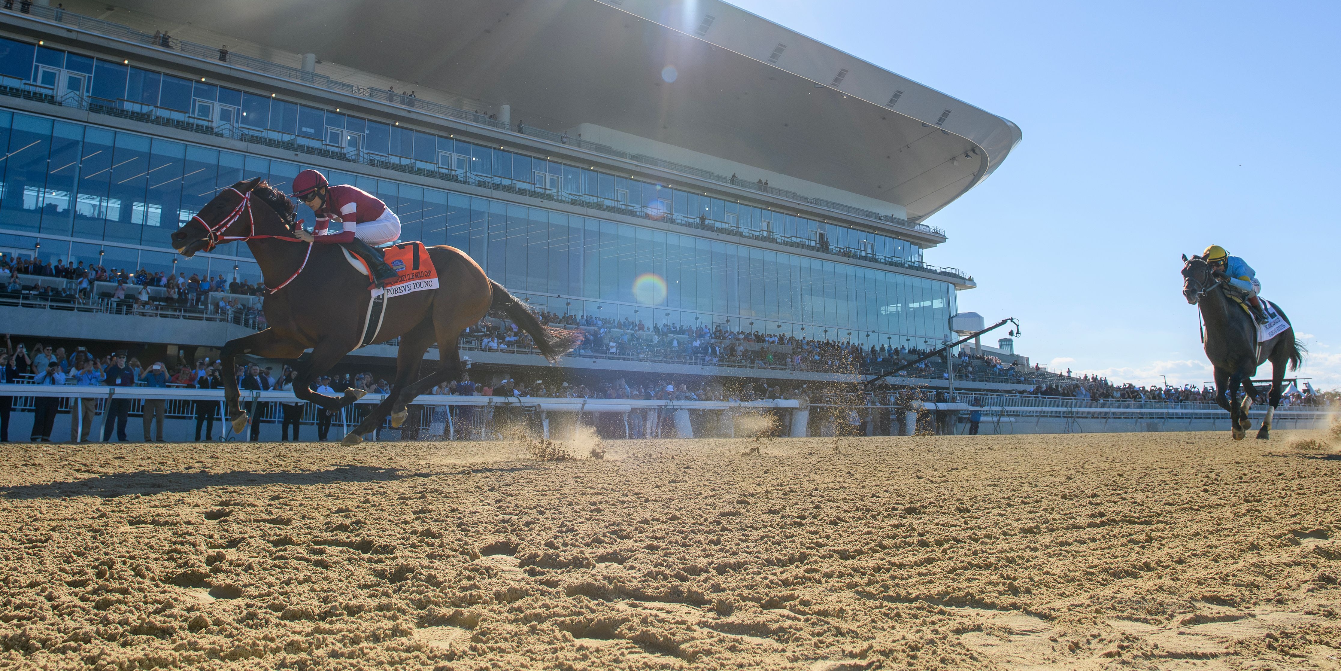 Forever Young wins the Jockey Club Gold Cup (G1) on Belmont Park's grand reopening