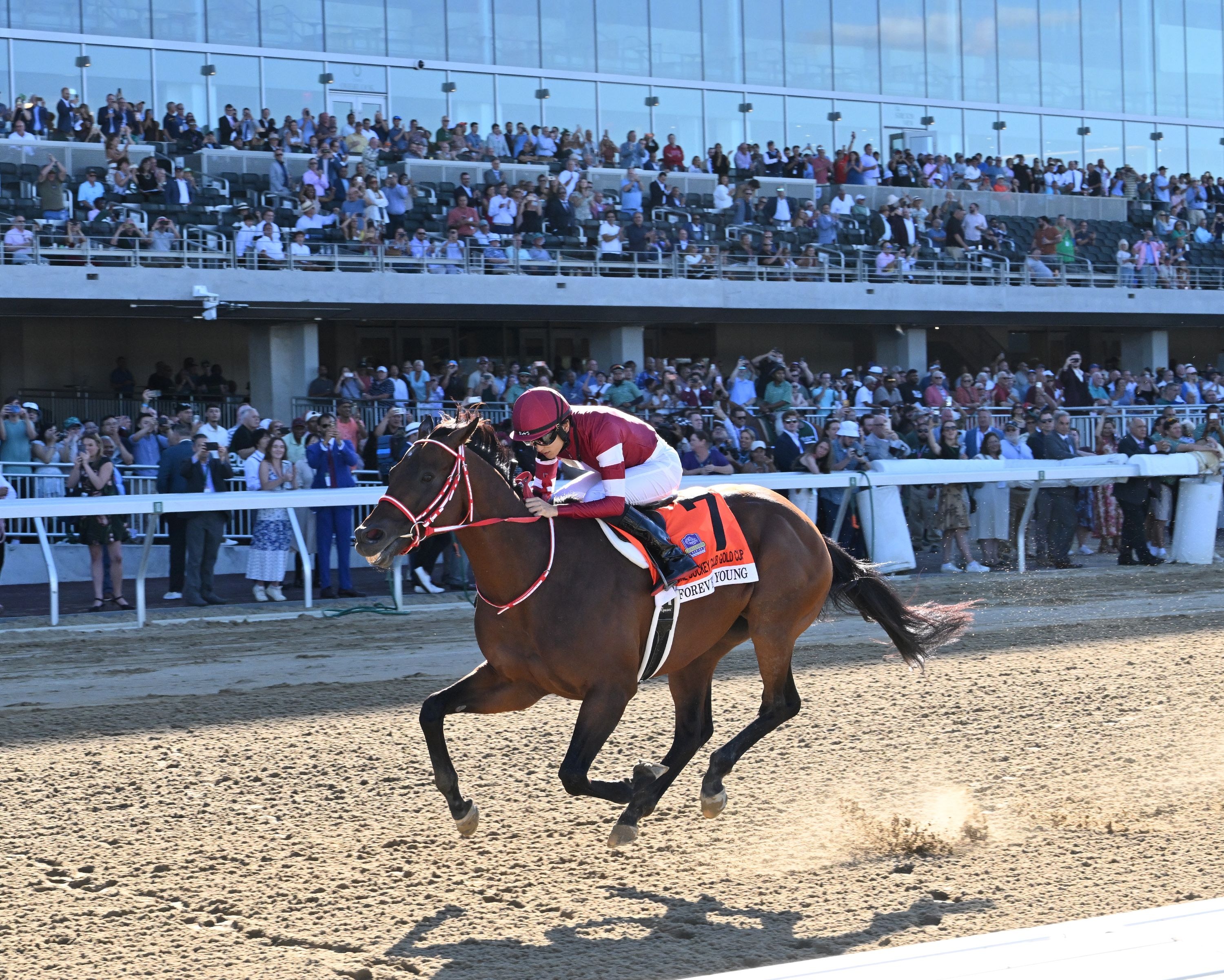 Forever Young wins the Jockey Club Gold Cup (G1) on Belmont Park's grand reopening 