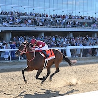 Forever Young wins the Jockey Club Gold Cup (G1) on Belmont Park's grand reopening