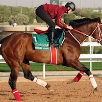 Forever Young trains for his title defense in the 2026 Saudi Cup (G1)