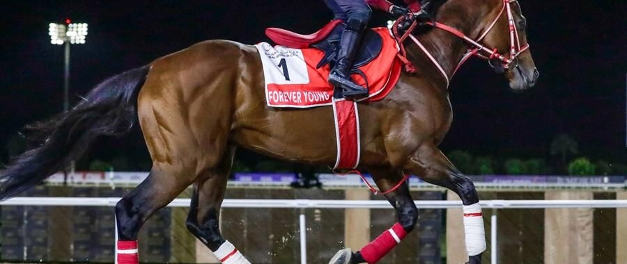 Forever Young training at Meydan for the 2026 Dubai World Cup (G1)
