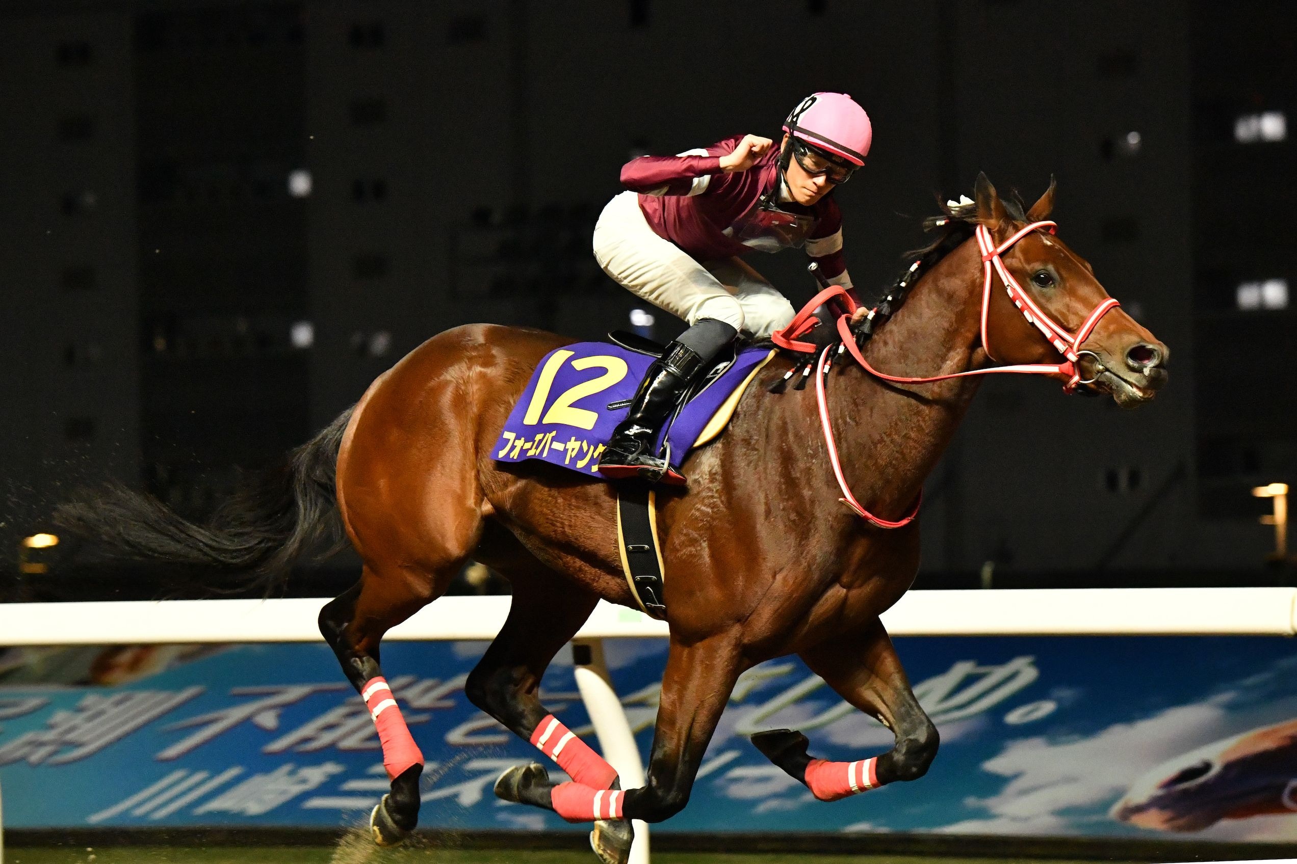 Zen Nihon Nisai Yushun - Forever Young Photo Photo by Katsumi Saito