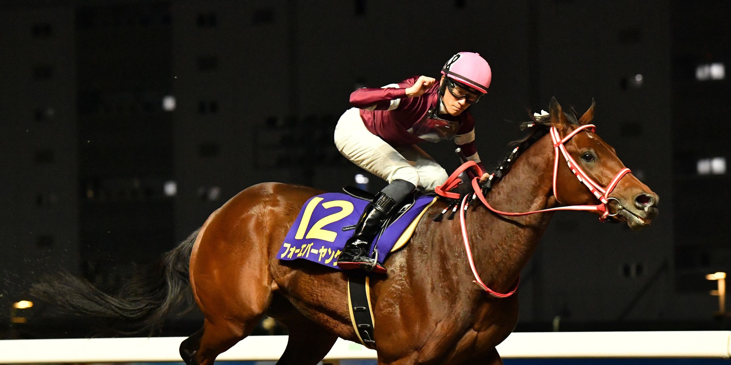 Zen Nihon Nisai Yushun - Forever Young Photo Photo by Katsumi Saito