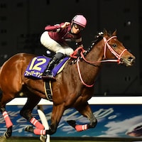 Zen Nihon Nisai Yushun - Forever Young Photo Photo by Katsumi Saito