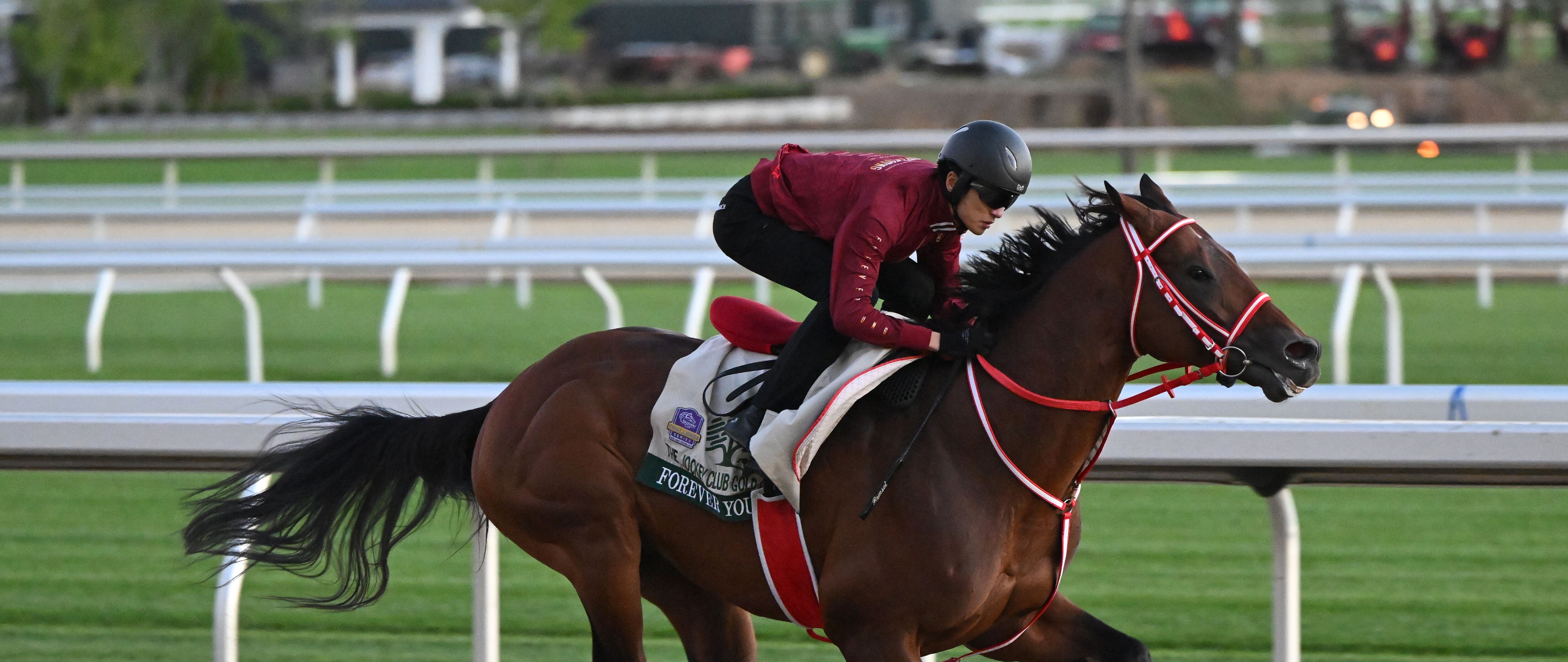 Forever Young breezes on Belmont Park main track 2026 (Photo by Coglianese Photos/NYRA)