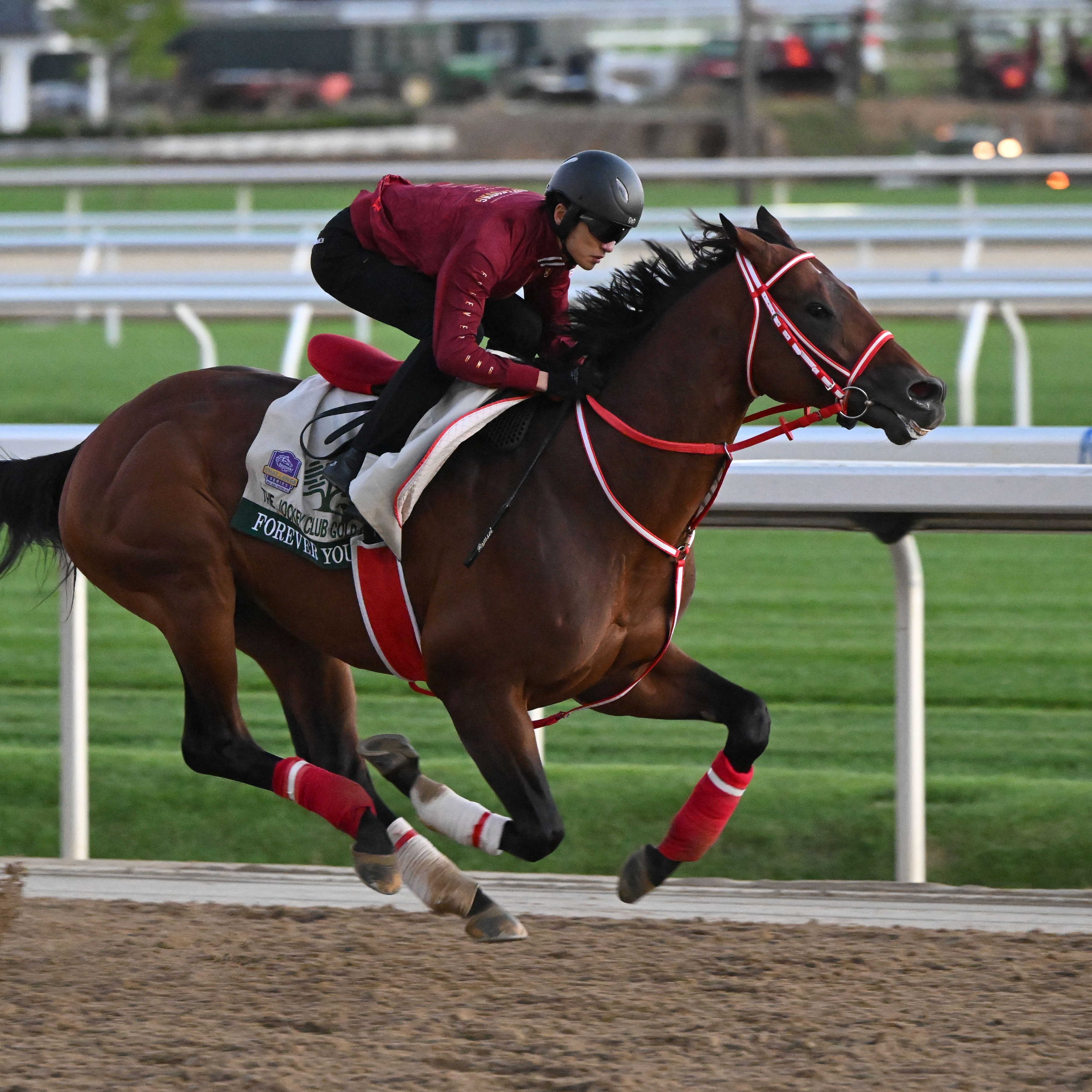 Forever Young breezes on Belmont Park main track 2026 (Photo by Coglianese Photos/NYRA)