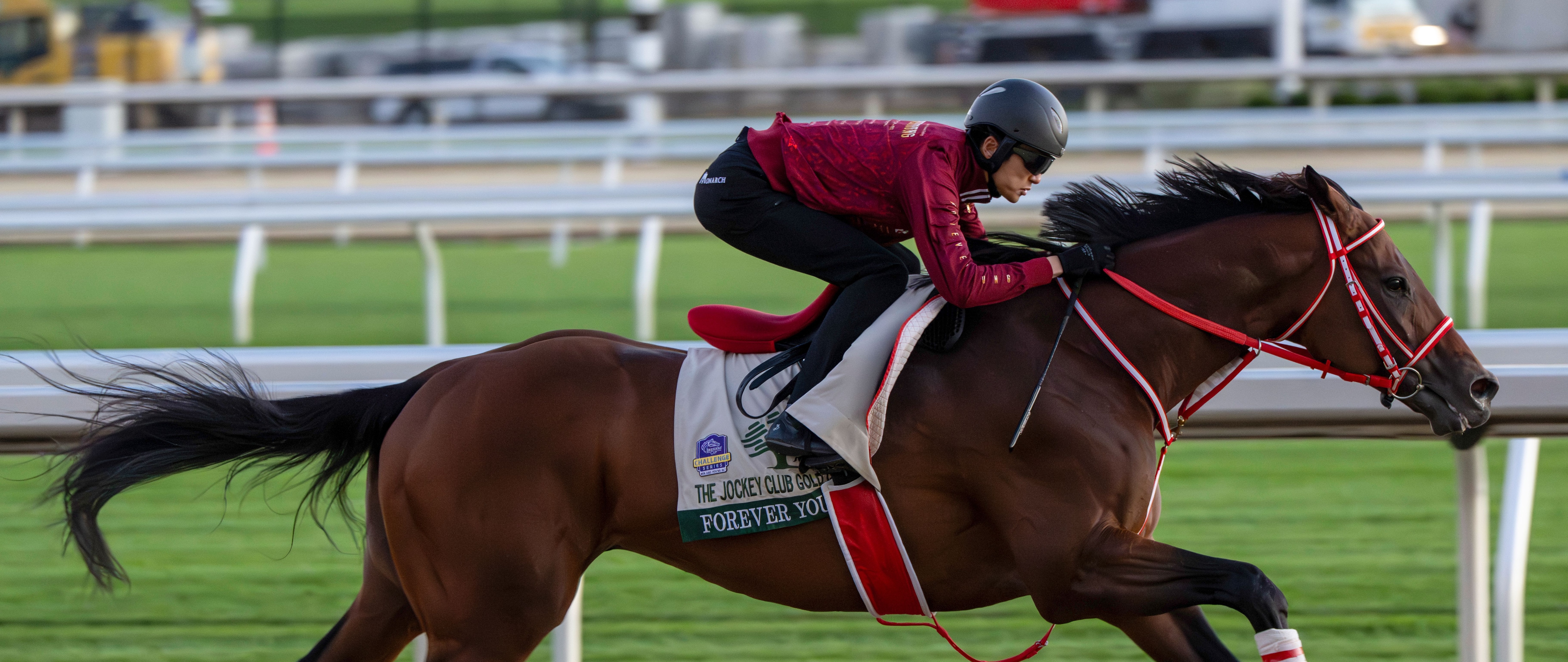 Forever Young breezes on Belmont Park main track 2026 (Photo by Coglianese Photos/NYRA)