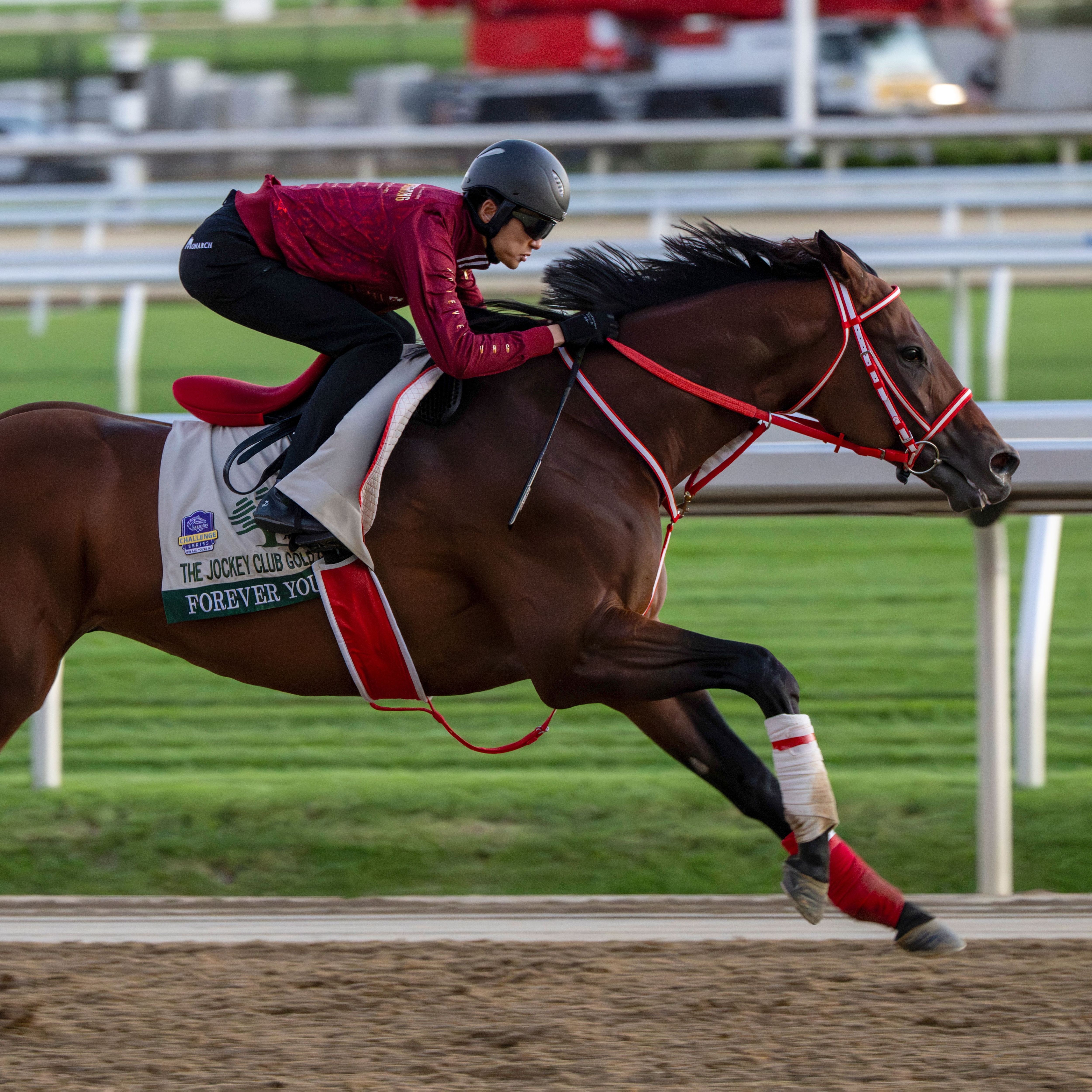 Forever Young breezes on Belmont Park main track 2026 (Photo by Coglianese Photos/NYRA)