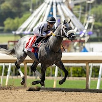 Forged Steel wired the Hollywood Gold Cup by a stakes-record 9 1/2 lengths