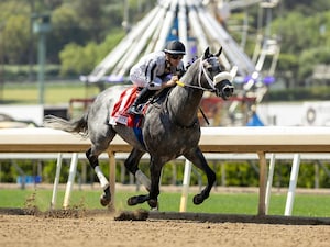 Forged Steel wired the Hollywood Gold Cup by a stakes-record 9 1/2 lengths