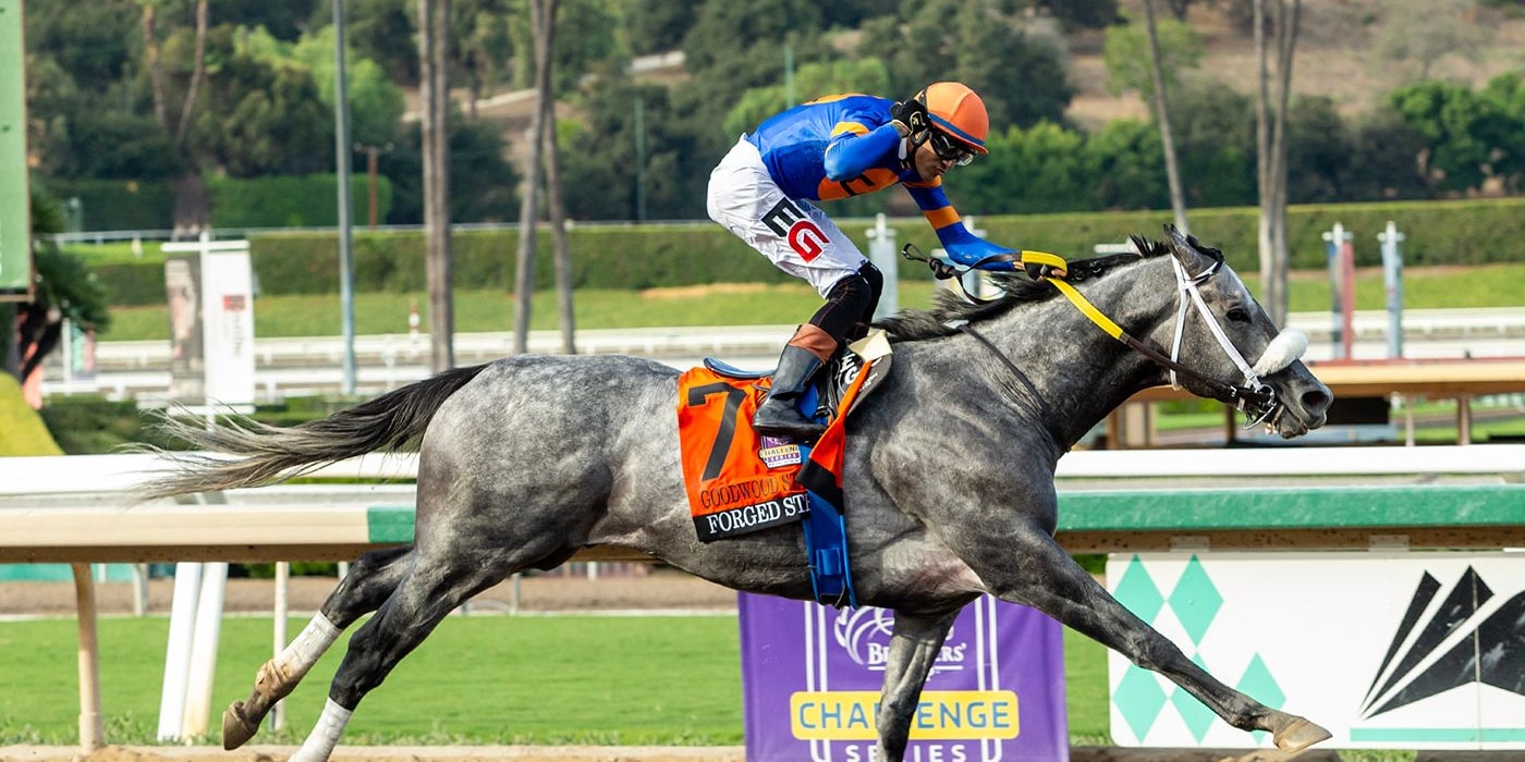 Forged Steel wins the Goodwood at Santa Anita