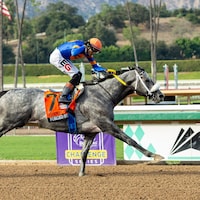 Forged Steel wins the Goodwood at Santa Anita