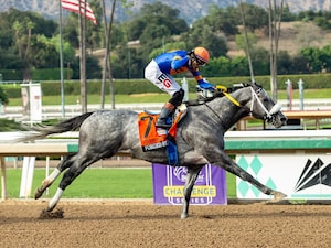 Forged Steel wins the Goodwood at Santa Anita