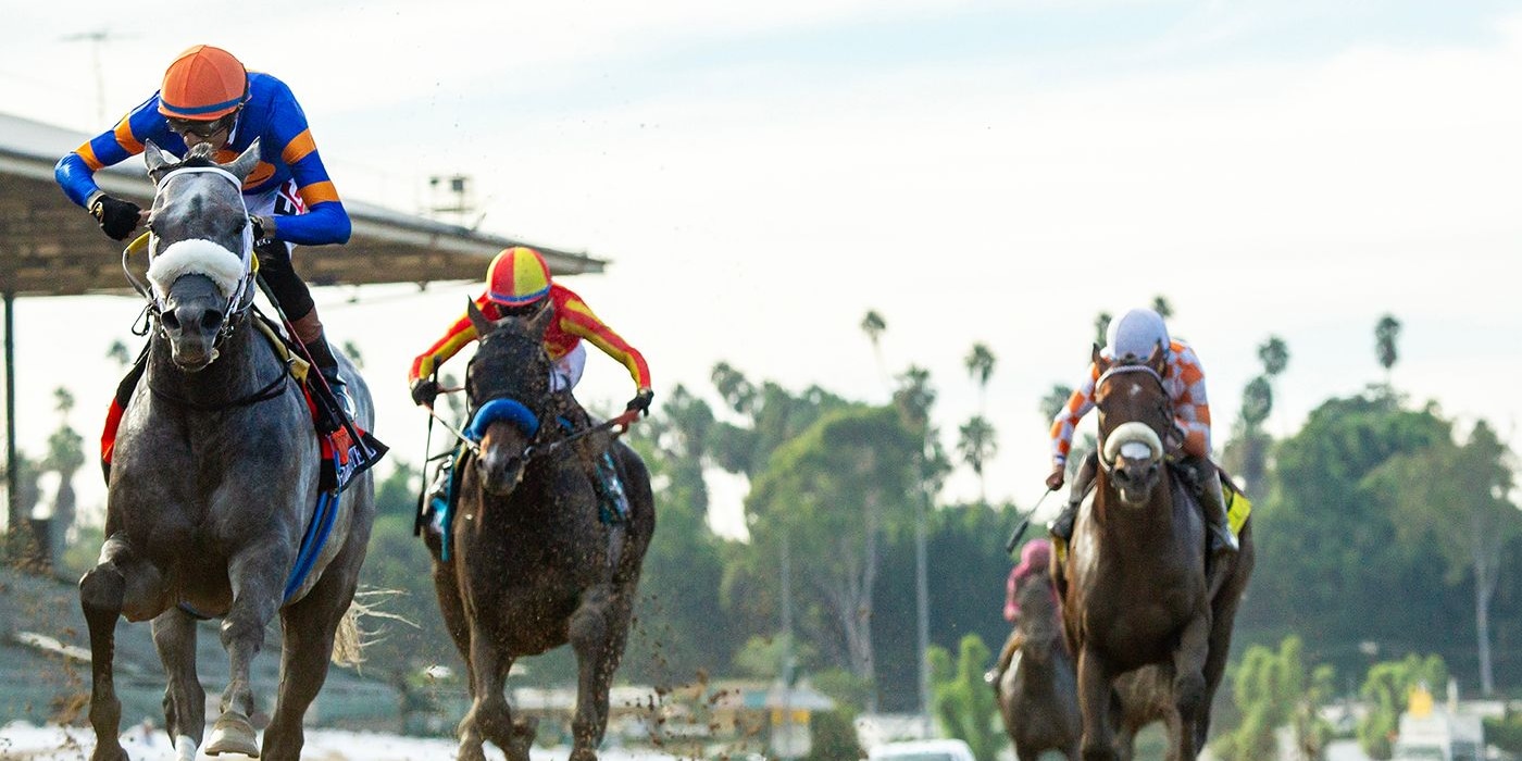 Forged Steel wins the Goodwood at Santa Antia.