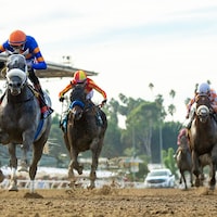 Forged Steel wins the Goodwood at Santa Antia.