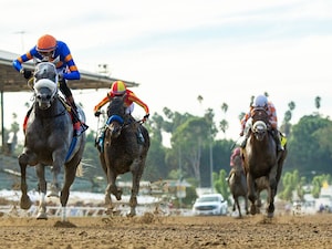 Forged Steel wins the Goodwood at Santa Antia.