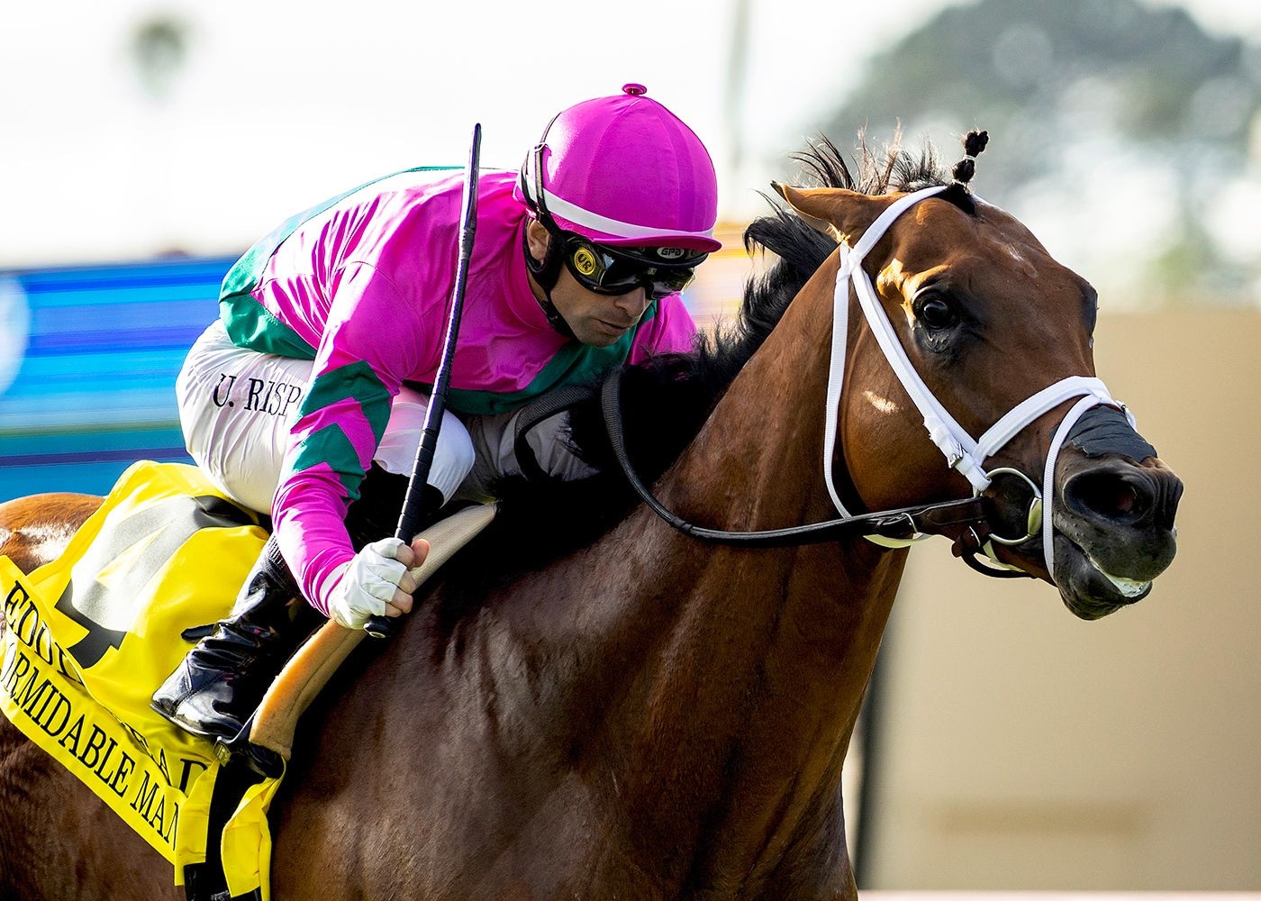 Formidable Man added yet another Del Mar prize in the Eddie Read