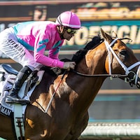 Formidable Man won as a 7-10 shot should in the Shoemaker Mile (G1)