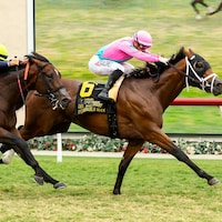 Formidable Man wins the Del Mar Derby at Del Mar.