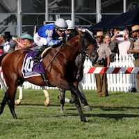 Fort Washington wins the Dinner Party (Photo by Horsephotos.com)