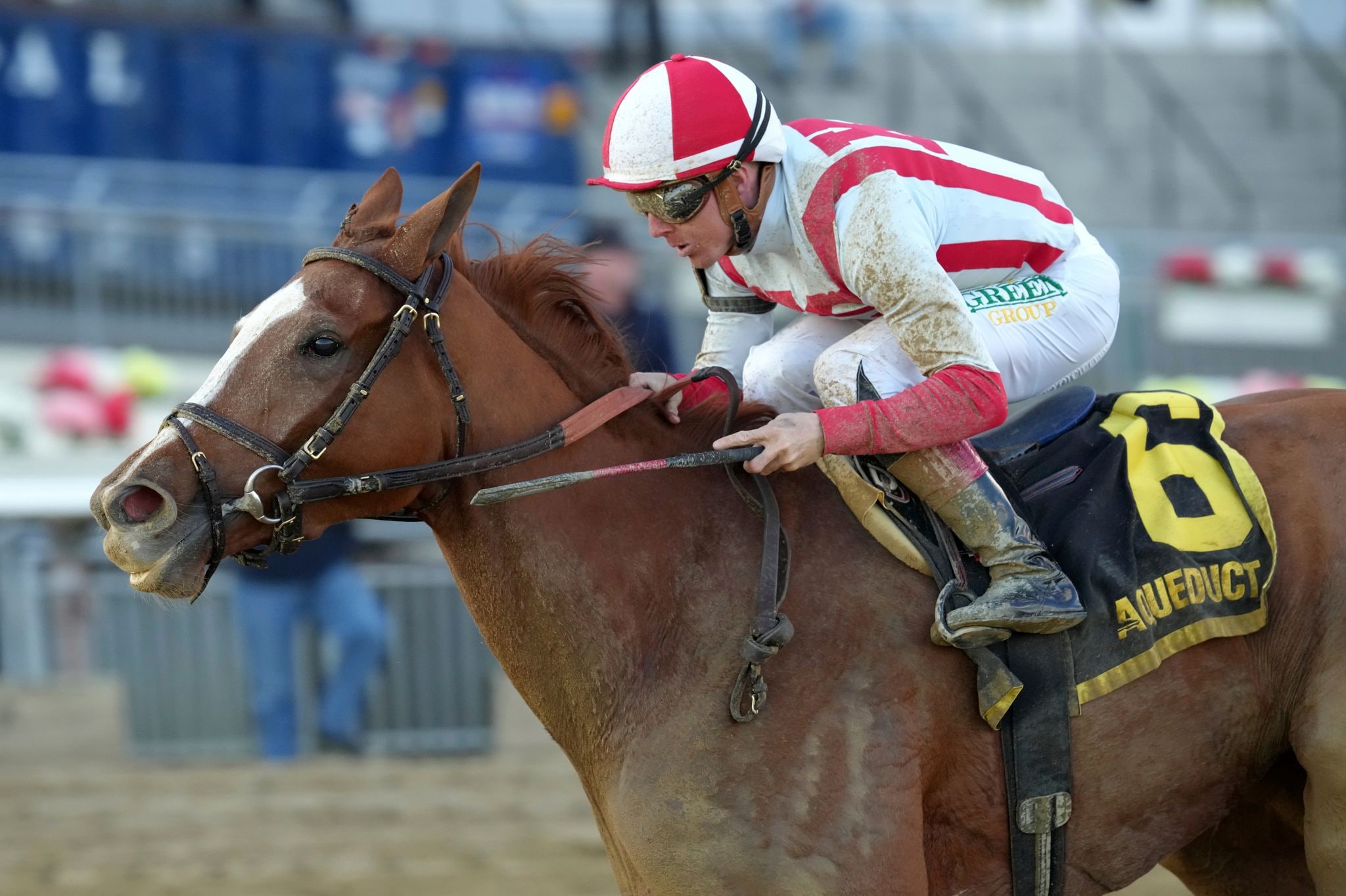 Fully Subscribed wins the 2025 Mother Goose