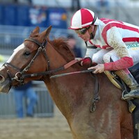 Fully Subscribed wins the 2025 Mother Goose