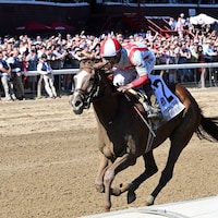 Fully Subscribed wins the Personal Ensign at Saratoga. 