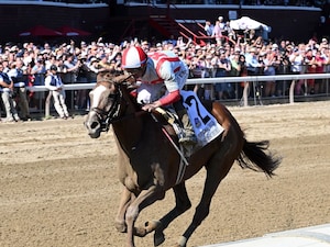 Fully Subscribed wins the Personal Ensign at Saratoga.