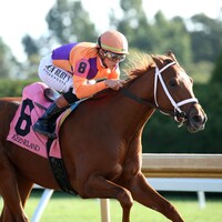 Further Ado broke his maiden by 20 lengths at Keeneland