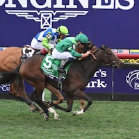 Gezora winning the Breeders' Cup Filly & Mare Turf (G1) at Del Mar