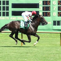 Giocoso wins at Ellis Park