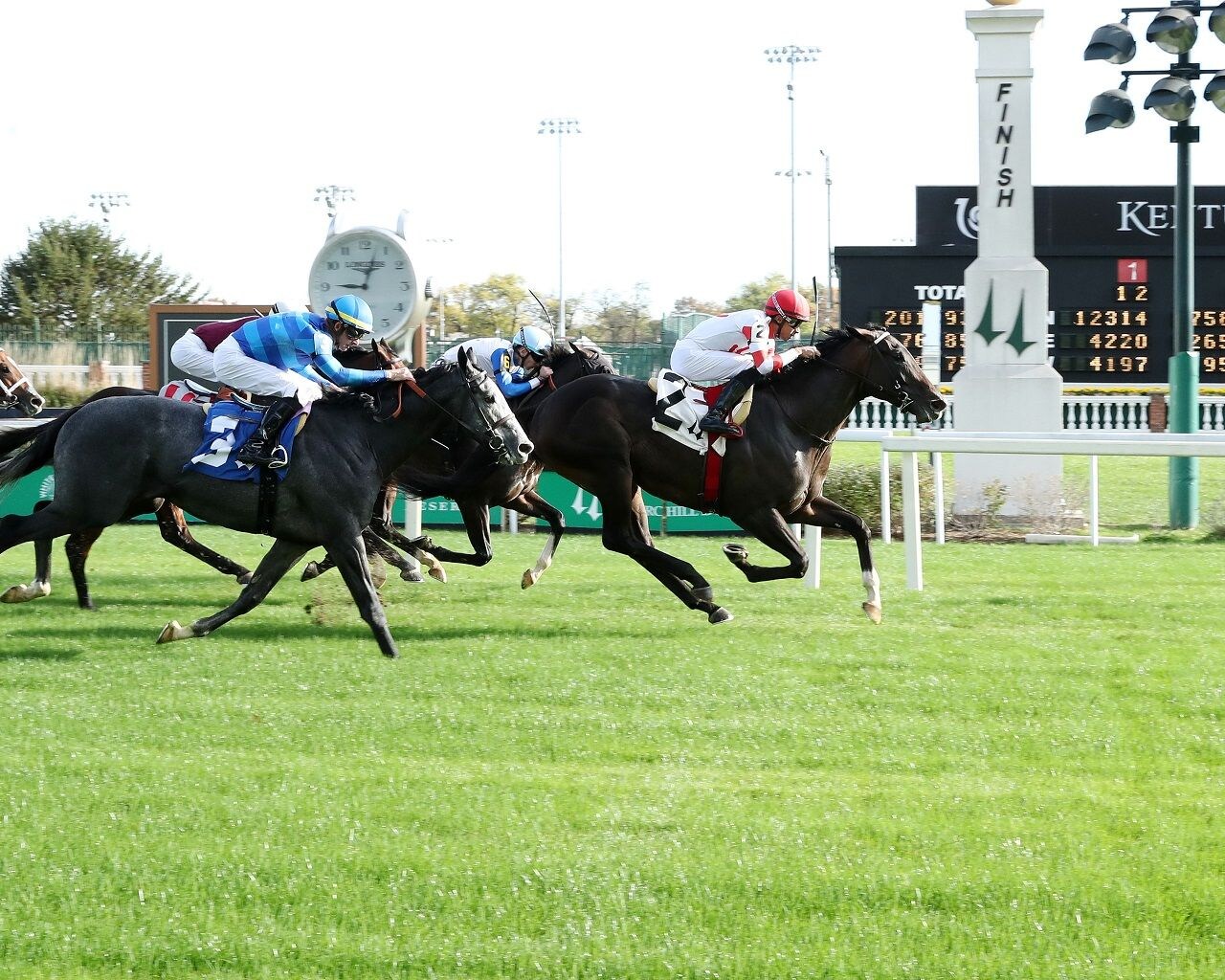 Giocoso winning a grass allowance at Churchill Downs (Photo by Coady Media)
