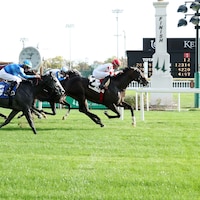 Giocoso winning a grass allowance at Churchill Downs (Photo by Coady Media)