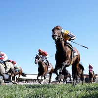 Goliad wins with Cash Equity close behind in the Mint Millions at Kentucky Downs.