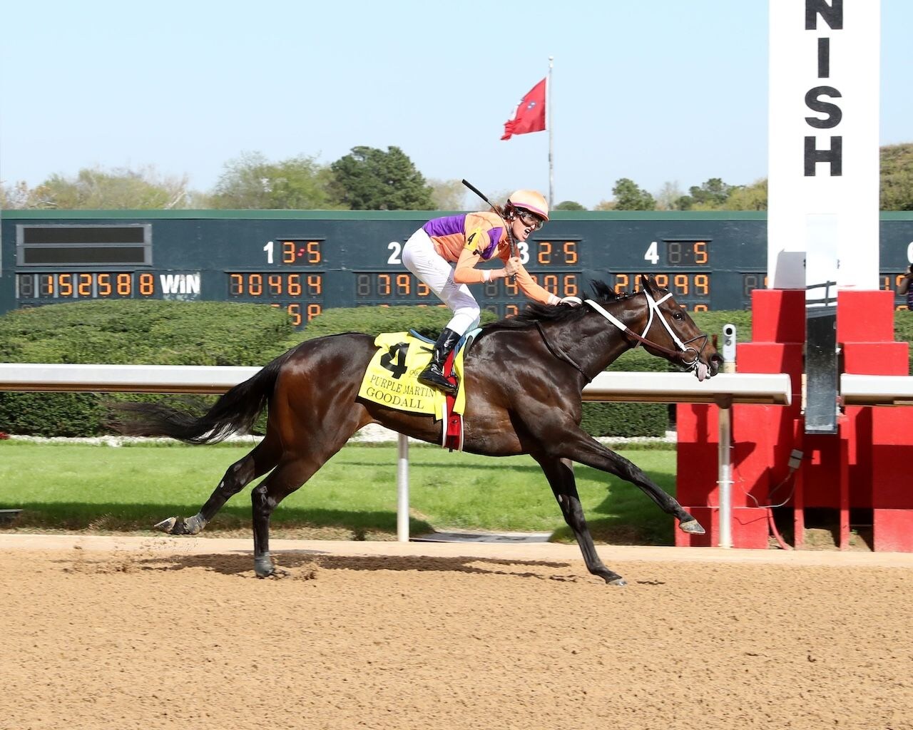 Goodall wins the Purple Martin Stakes at Oaklawn Park.