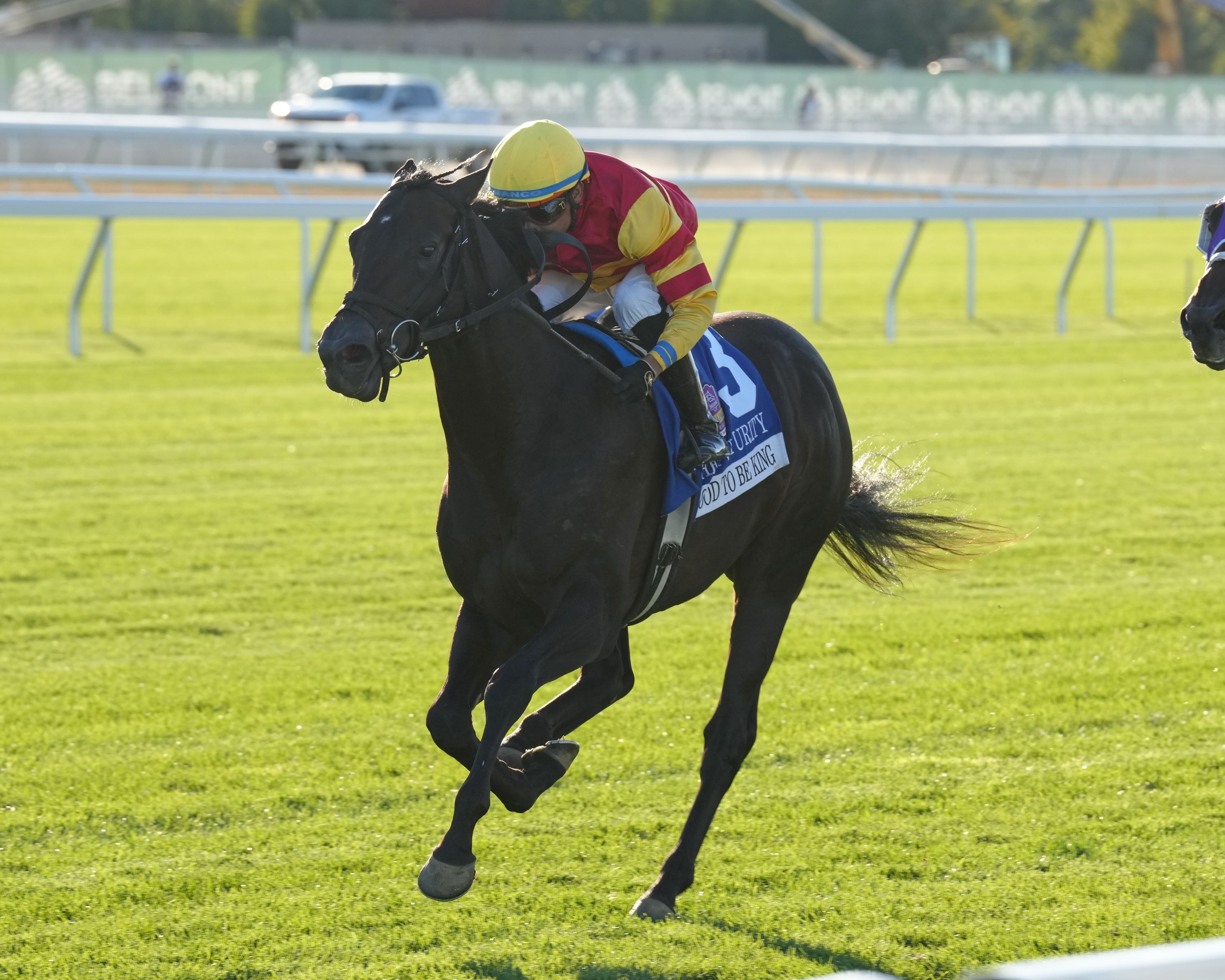 Good to Be King wins the Futurity (G3) at Belmont Park.