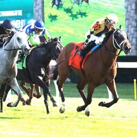 Governor Sam wins the Indian Summer at Keeneland.